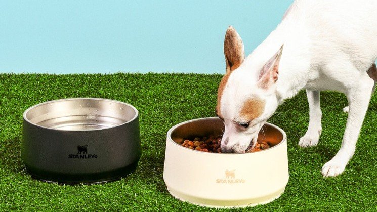 Novas tigelas para pets da Stanley 1913