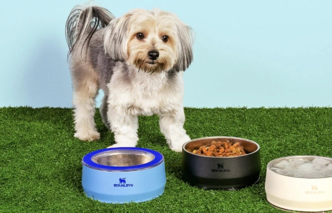 Novas tigelas para pets da Stanley 1913