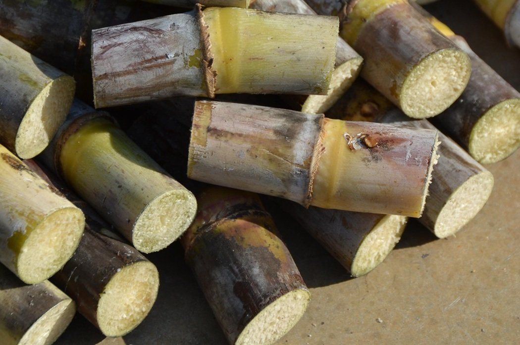 Com queda do preço do açúcar e guerra no Irã, agro brasileiro acelera aposta no etanol