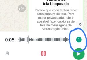 Print mostra áudio sendo enviado por visualização única do WhatsApp