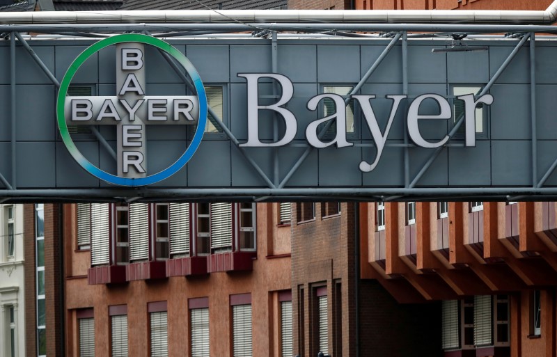 Trata-se da terceira geração de biotecnologia em soja da Bayer e o primeiro lançamento da companhia no país desde a aquisição da Monsanto, em 2018