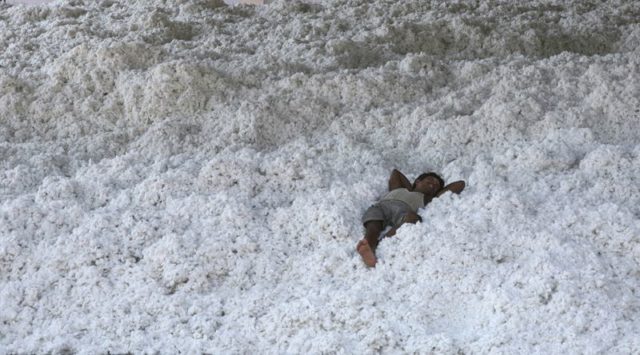 Trabalhador descansa em armazén de algodão na Índia