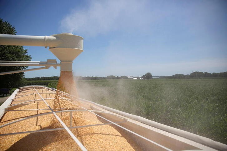 Escoamento de milho em Tiskilwa, Illinois