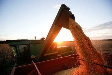 Converter pastagens em lavouras tem potencial bilionário, aponta Itaú BBA