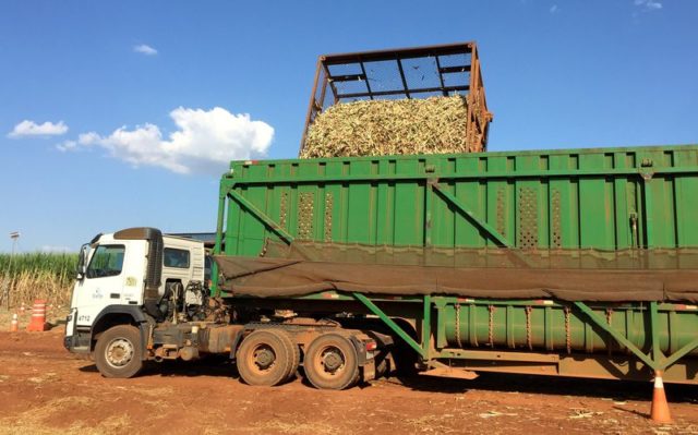 Caminhão sendo carregado com cana de açúcar no Brasil