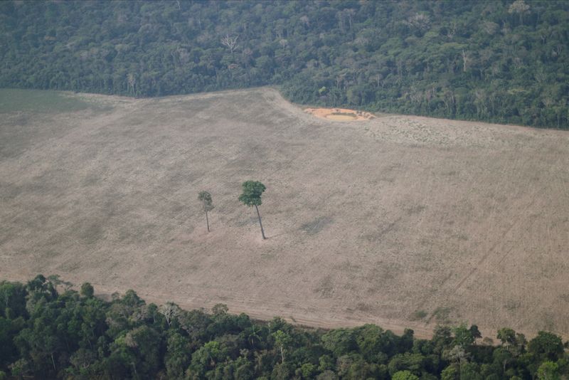 O Brasil está pedindo recursos para reduzir o desmatamento, enquanto os EUA pedem resultados antes de liberar dinheiro
