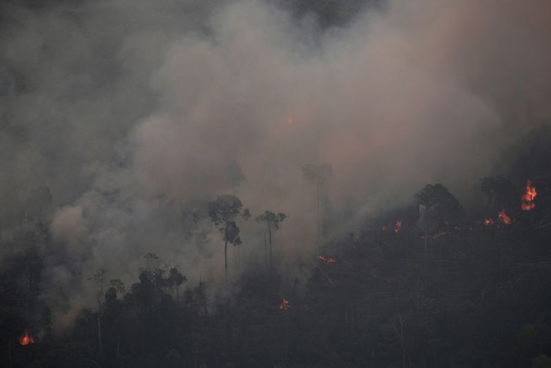 Incêndio na floresta amazônica em Porto Velho
