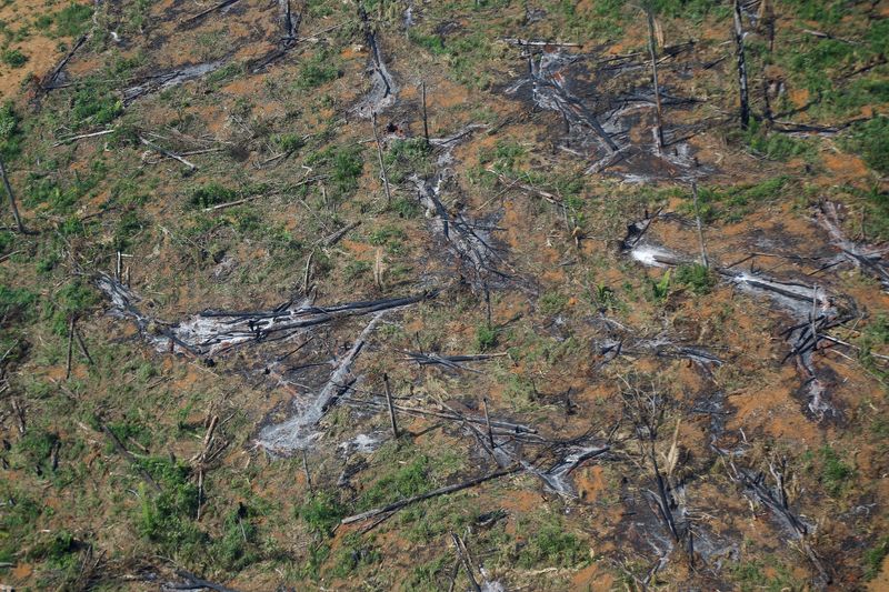 Vista aérea de área desmatada da floresta amazônica no Estado de Rondônia