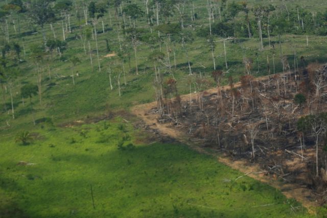 Vista aérea de área desmatada da floresta amazônica em Rondônia