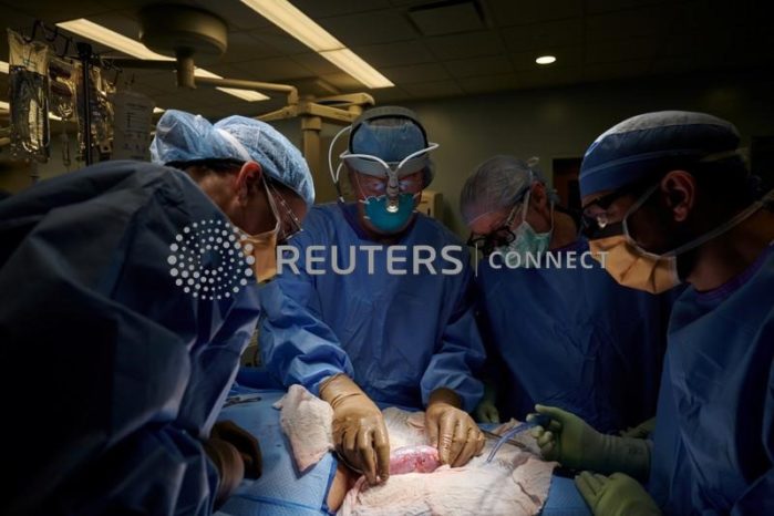Cirurgiões dos EUA testam com sucesso transplante de rim de