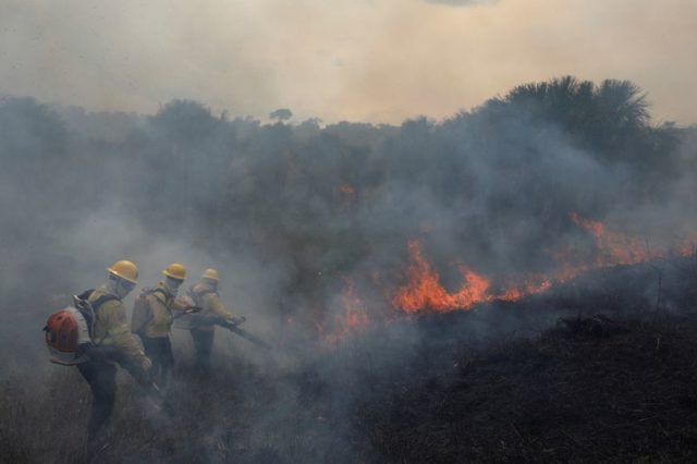 Amazônia registra piores incêndios em agosto em mais de uma década