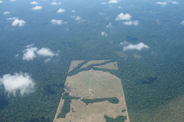Vista aérea de área desmatada da floresta amazônica no Estado de Rondônia