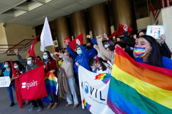 O Senado chileno aprovou a iniciativa com 21 votos a favor, oito contra e três abstenções