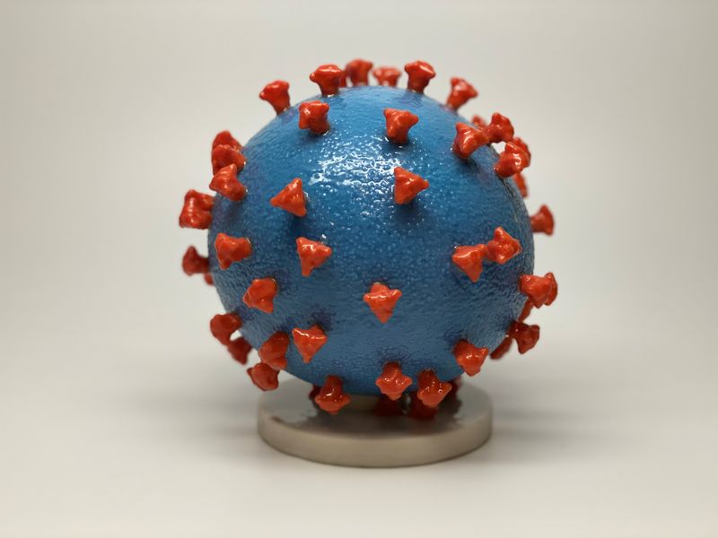A variante Delta do novo coronavírus, detectada primeiramente na Índia, está se tornando a variante dominante do coronavírus