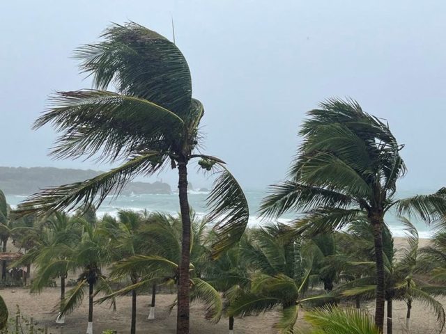 Tempestade Agatha mata 3 pessoas no sul do México; destroços são retirados na costa